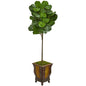 6' Fiddle Leaf Artificial Tree in Decorative Planter