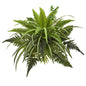 22"  Mixed Greens and Fern Artificial Bush Plant (Set of 3)