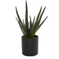 19"  Aloe Artificial Plant with Planter