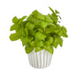 10" Basil Artificial Plant in White Planter with Silver Trimming