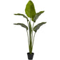 64"  Travellers Palm Tree UV Resistant (Indoor/Outdoor)