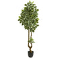 6.5' Variegated Aralia Artificial Tree