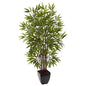 5' Bamboo Silk Tree w/Planter