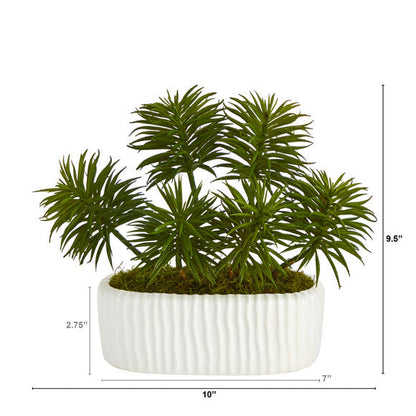 10" Succulent Artificial Plant in White Planter