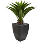 Agave Artificial Plant in Black Planter