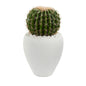 Cactus Artificial Plant in White Planter