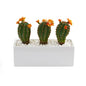 11" Cactus Succulent Artificial Plant in Glazed White Planter