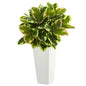 Variegated Rubber Artificial Plant in White Tower Planter  (Real Touch)