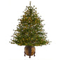 5.5' Colorado Mountain Pine Artificial Christmas Tree w/ 250 Clear Lights
