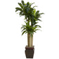 4.5' Cornstalk Draceana w/Vase (Real Touch)