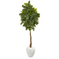69"  Beech Leaf Artificial Tree in White Planter