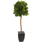 64" Fiddle Leaf Artificial Tree in Black Planter (Real Touch)