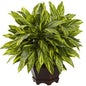 Tradescantia with Wooden Hexagon Planter