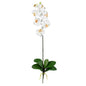Phalaenopsis Silk Orchid Flower w/Leaves (6 Stems)