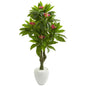 5.5' Plumeria Artificial Tree in White Planter UV Resistant (Indoor/Outdoor)