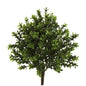 Sweet Grass Bush (Set of 6) (Indoor/Outdoor)