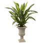 5' Dracaena Plant with Urn (Real Touch)