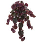 25"  Peperomia Artificial Hanging Bush (Set of 6) (Real Touch)