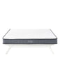 Kate 6" Queen Mattress by Modway