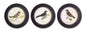 Wood Framed Encyclopedia Bird Print (Set of 3) 9.5"D