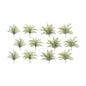 Assorted Fern Foliage Bush (Set of 12)