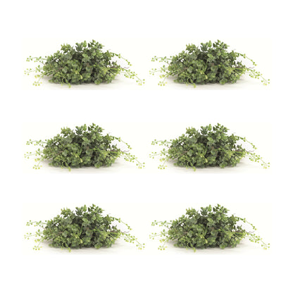 Spring Boxwood Foliage Half Orb (Set of 6)