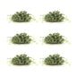 Spring Boxwood Foliage Half Orb (Set of 6)