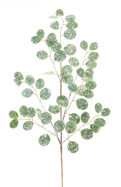 Frosted Silver Dollar Eucalyptus Spray (Set of 12)
