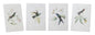 Tabletop Encyclopedia Hummingbird Print (Set of 4)