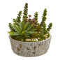 Mini Succulent Garden Artificial Plant in Weathered Oak Planter