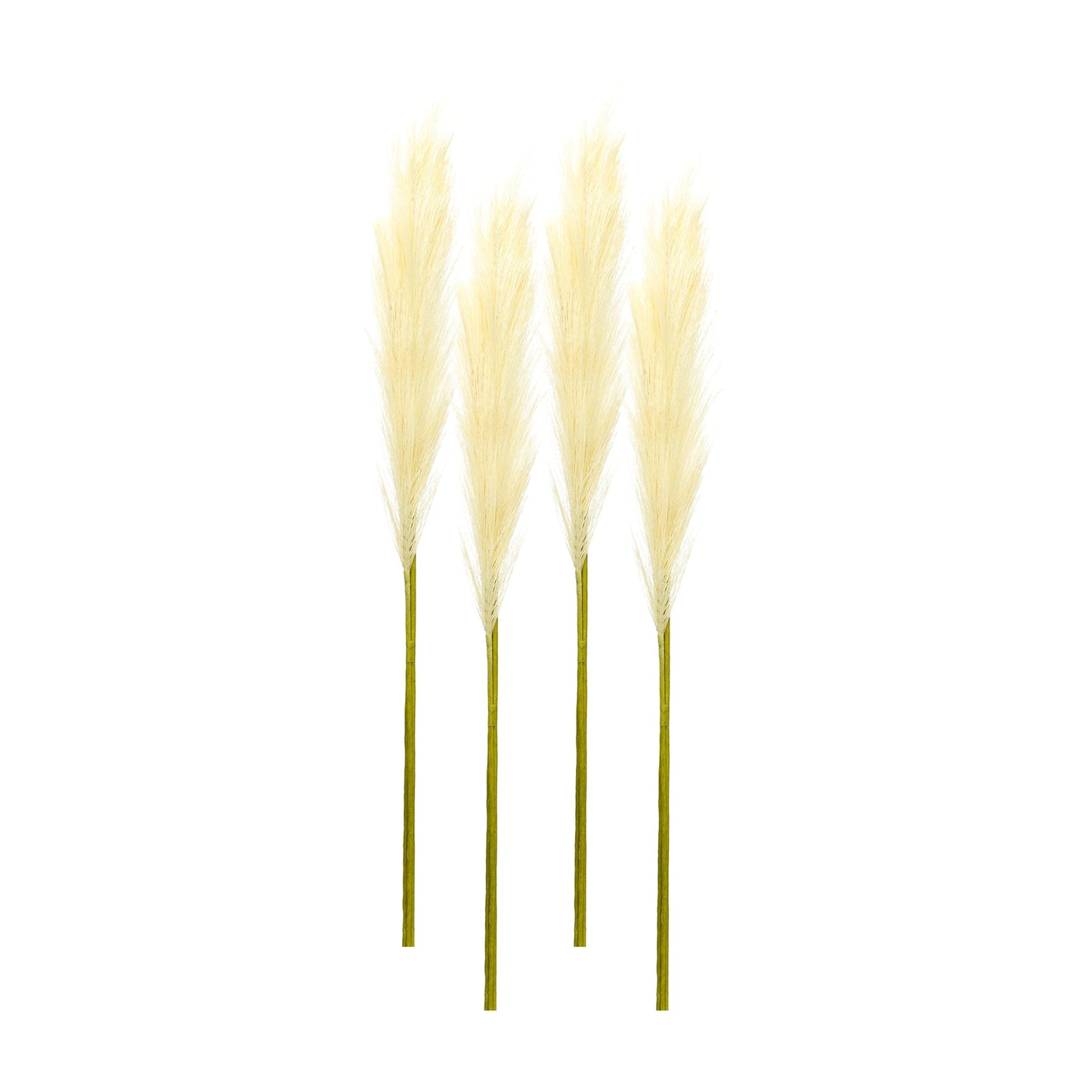 Cream Pampas Gass Stem (Set of 4)