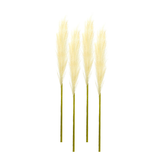 Cream Pampas Gass Stem (Set of 4)