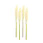 Cream Pampas Gass Stem (Set of 4)