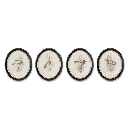 Framed Bird Print (Set of 4)