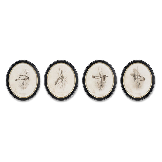 Framed Bird Print (Set of 4)