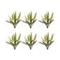 Varigated Fern Foliage Bush (Set of 6)