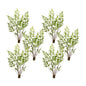 Varigated Fern Bundle with Sprout Accents (Set of 6)