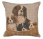 Cavalier King Charles Family French Cushion