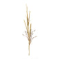 Foxtail Grass Spray (Set of 2)