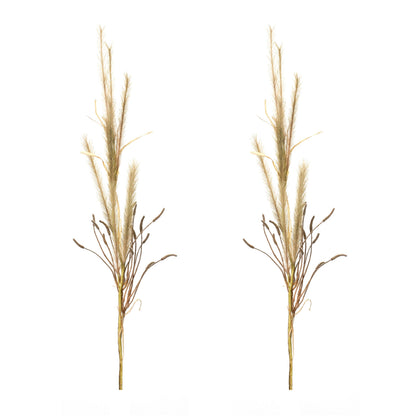 Foxtail Grass Spray (Set of 2)