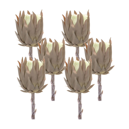 Beige Protea Stem (Set of 6)