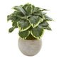 26" Variegated Hosta Artificial Plant in Sand Colored Bowl