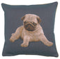 Puppy Pug Blue French Cushion