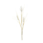 Bunny Tail Spray (Set of 6)