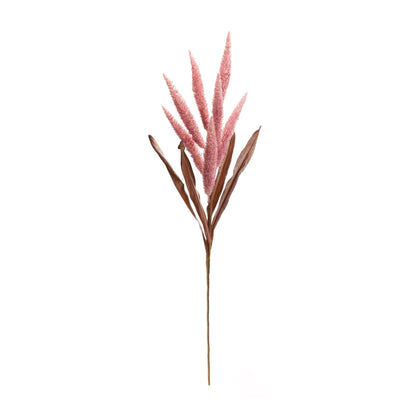 Foxtail Plume Stem (Set of 2)