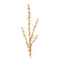 Ilex Berry Spray (Set of 2)