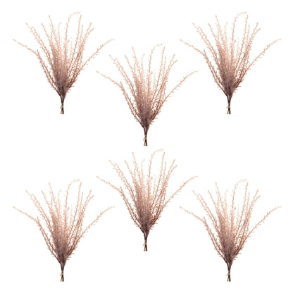 Grass Plume Bundle (Set of 6)
