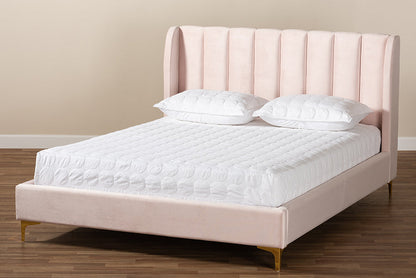 Baxton Studio Saverio Glam and Luxe Light Pink Velvet Fabric Upholstered Queen Size Platform Bed with Gold-Tone Legs