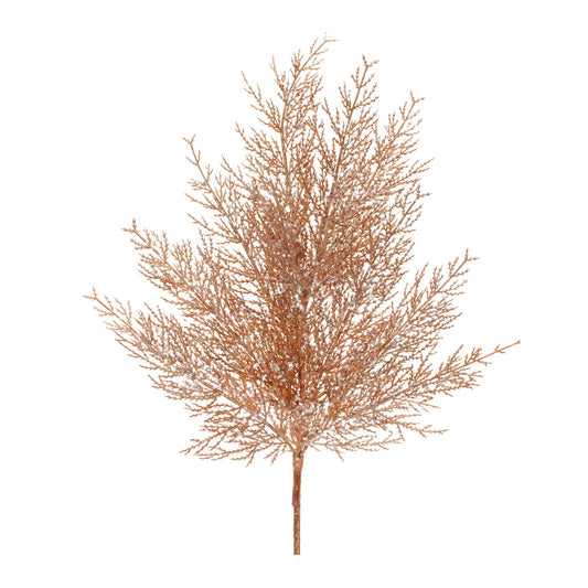 Cedar Spray (Set of 4)