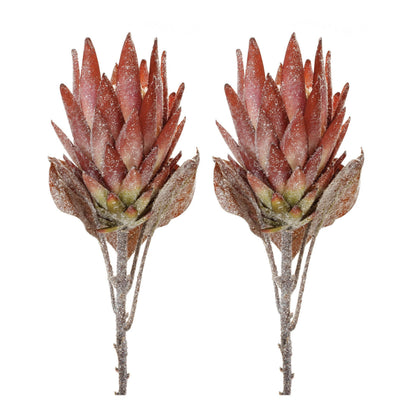 Orange Protea Flower Stem (Set of 2)
